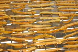 Candied Orange Peels Recipe