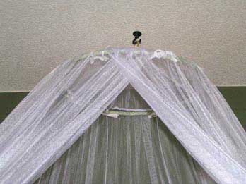 We used a hook to hang the canopy and an ironed sheet to get the color for the wall.