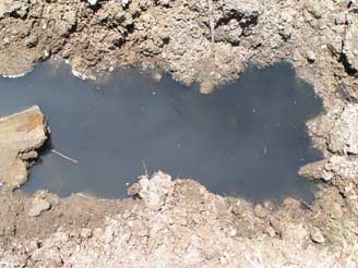 The Sea of "Black Gold" we found while trying to find the line out of the old septic tank