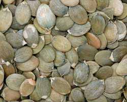 Pumpkin Seeds