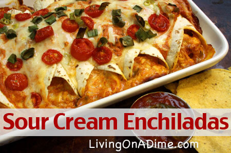 Sour Cream Enchiladas Recipe