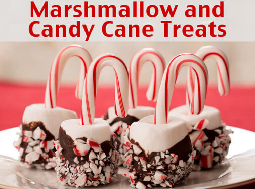 Deserts Kids Can Take To School Deserts Kids Can Take To School