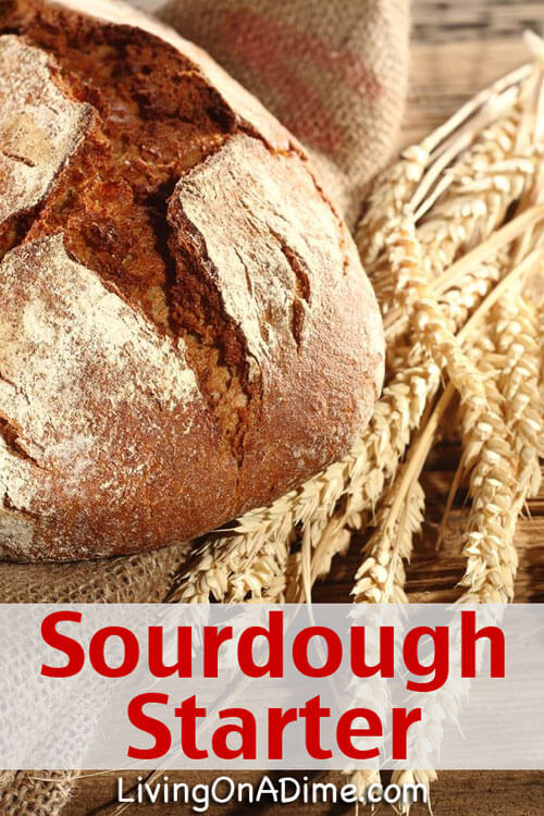 Potato Flake Sourdough Starter Recipe