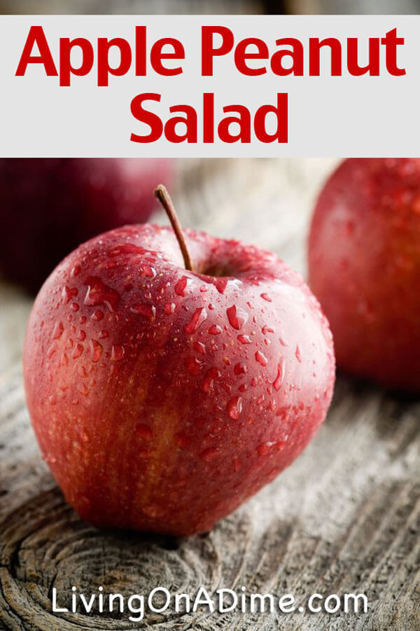 Easy Apple and Peanut Salad Recipe