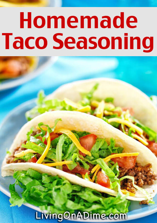 Homemade Taco Seasoning Recipe - 10 Foods You Didn't Know You Could Make At Home