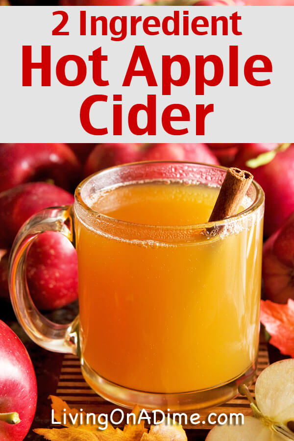 Easy Homemade Hot Apple Cider Recipes