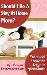 Should I Be A Stay At Home Mom e-book