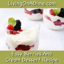 crockpot-pork-and-beans Easy and Delicious Berries and Cream Dessert