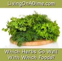 herbs Herb Guide - Which Herbs Go Well With Which Foods?