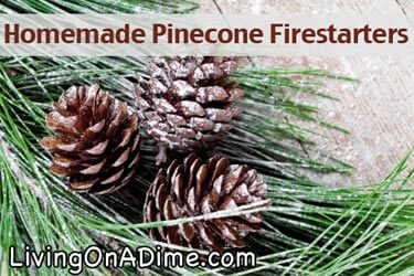 Homemade Pinecone and Sawdust Firestarters