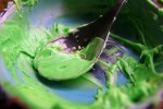 green frosting