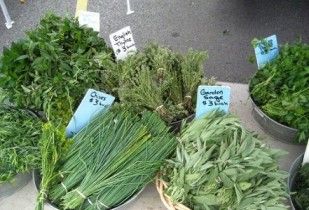 herbs