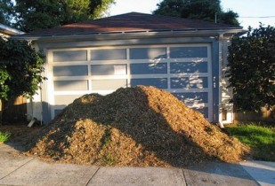 wood chips mulch wood chips mulch