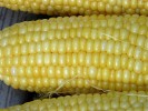 Freezer Corn