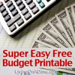 Budget Information and Easy Free Printable Budget Forms