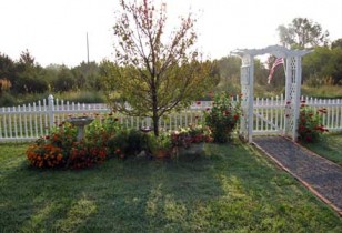 arbor-tree-front