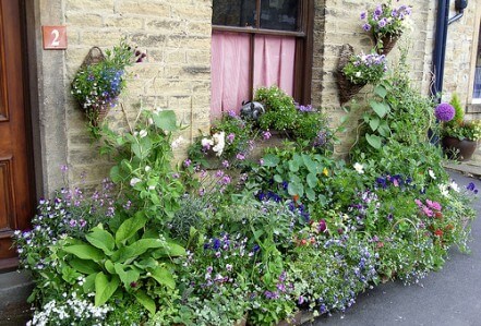 flower containers