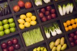 vegetable boxes