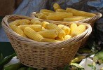 Fresh corn - how to make frozen corn