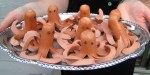 octopus hot dogs