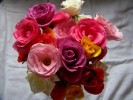 pink flowers