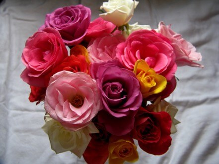 pink flowers