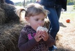 popcorn ball