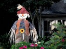 scarecrow