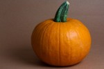 pie pumpkin