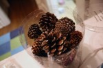pinecones