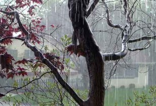 rainy-day save for a rainy day