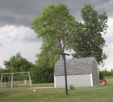 shed Shed