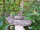 What To Do With Broken Bird Baths