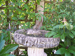 What To Do With Broken Bird Baths