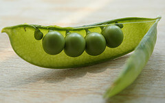 Sugar Snap Pea or Pea Salads