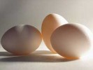 buying-eggs