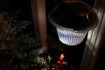 A solar light makes a great night light!