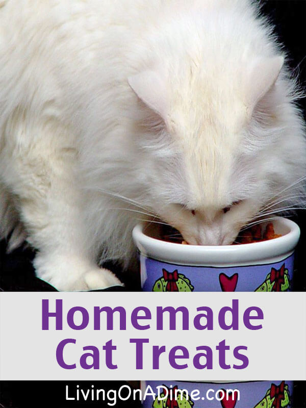 Homemade Cat Treats Recipe