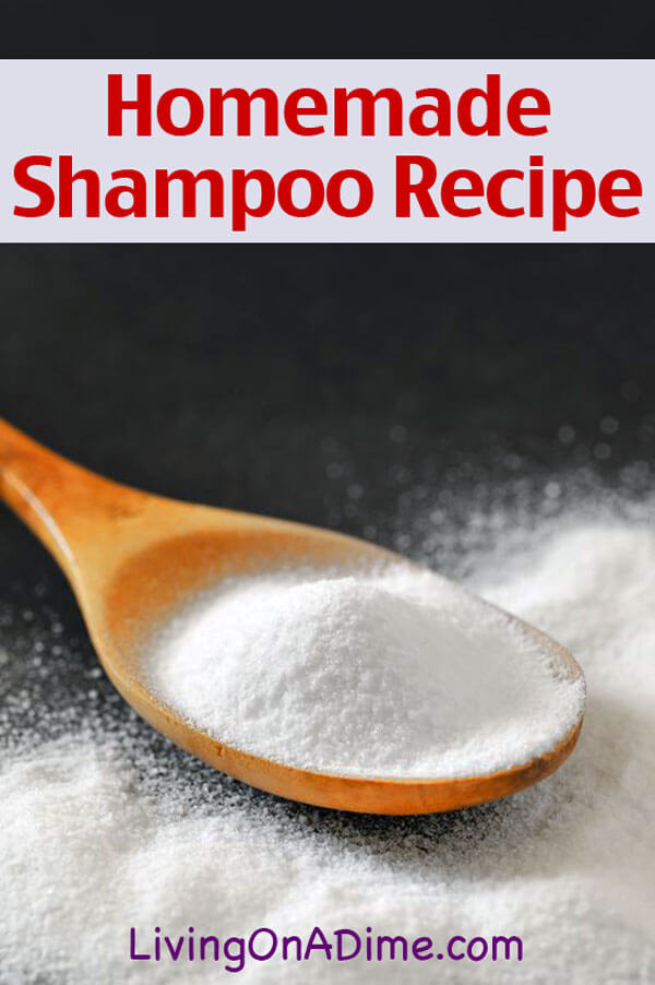 Homemade Shampoo Recipe - Living on a
