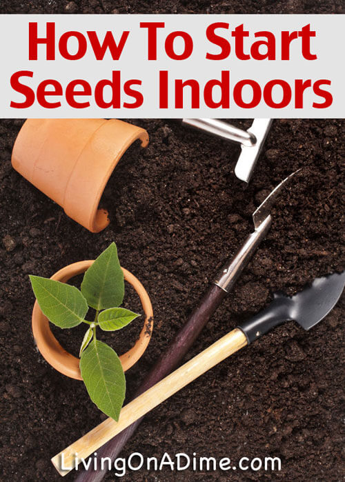 How To Start Garden Seeds Indoors