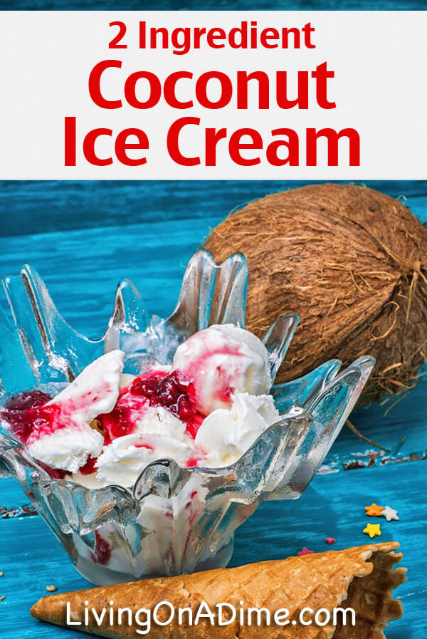 Coconut Ice Cream Recipe - 12 Easy 2 Ingredient Homemade Ice Cream Recipes