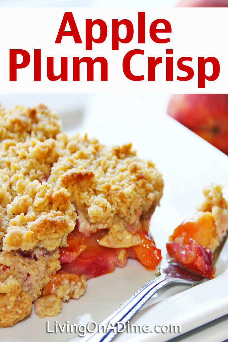 This easy apple plum crisp recipe is another great variation on an apple crisp recipe, with the plums adding a nice sweetness. You can easily substitute peaches or nectarines to make an easy peach cobbler!