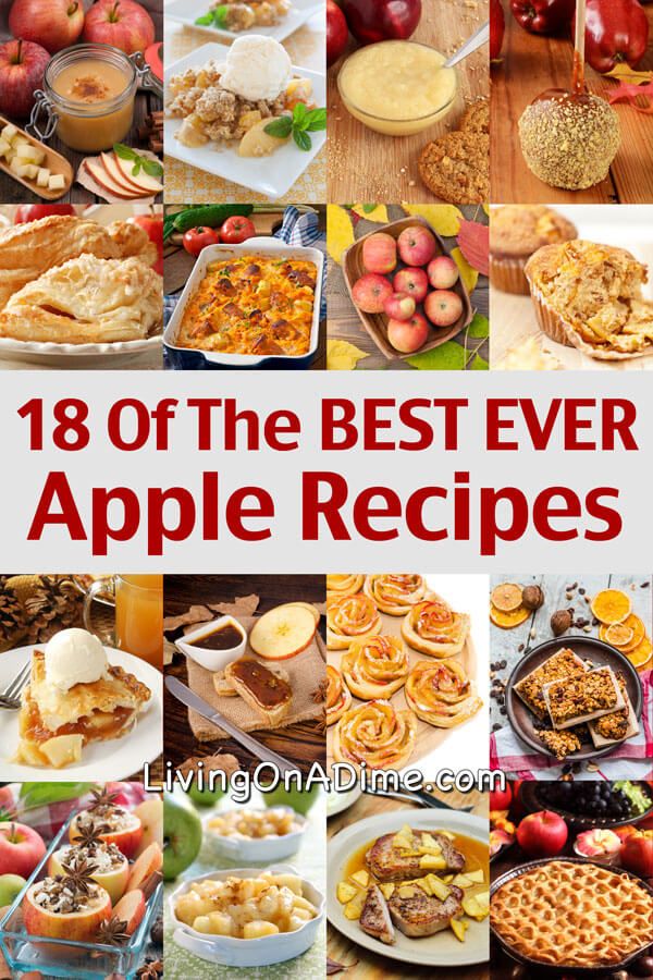 18 Of The BEST EVER Apple Recipes to help you make delicious treats like pies, snacks and applesauce while using all of those extra apples! Lots of yummy recipes all in one place!