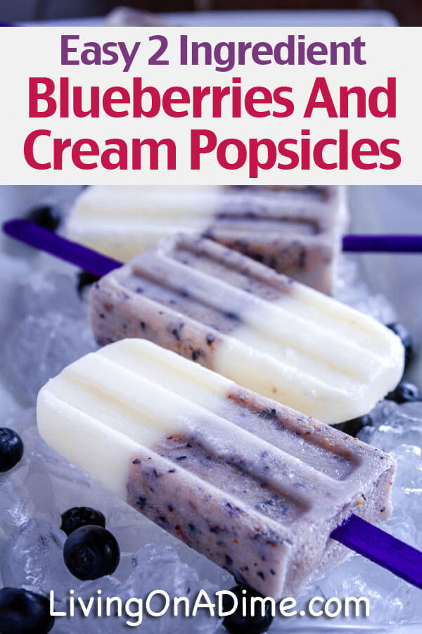 Easy Homemade Blueberries and Cream Popsicles Recipe - 15 Super Easy Homemade Popsicle Recipes