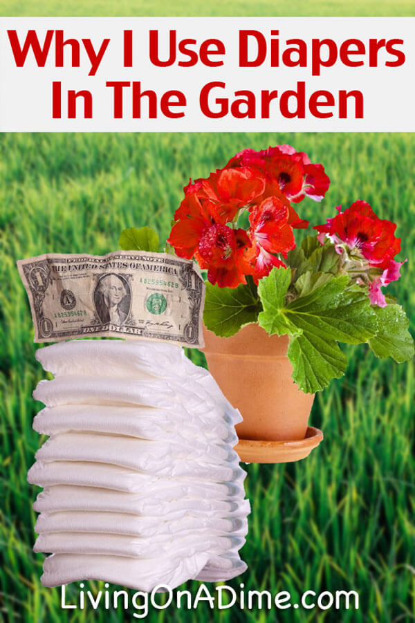 Why I Use Disposable Diapers In The Garden!