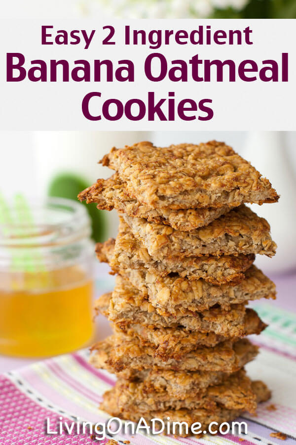 Easy 2 Ingredient Recipes