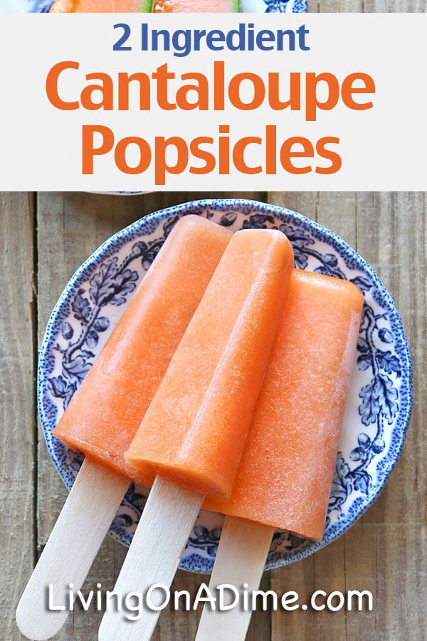 Easy 2 Ingredient Cantaloupe Popsicles Recipe - 15 Super Easy Homemade Popsicle Recipes