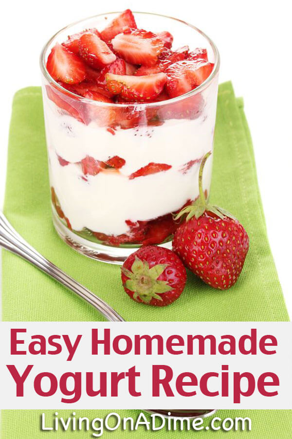 Easy Homemade Yogurt Recipe