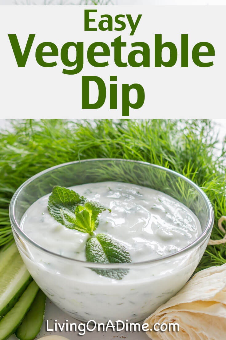 This easy vegetable dip recipe is the perfect complement to raw fresh vegetabes. Make it for yourself or bring it as your quick and easy contribution to a party!