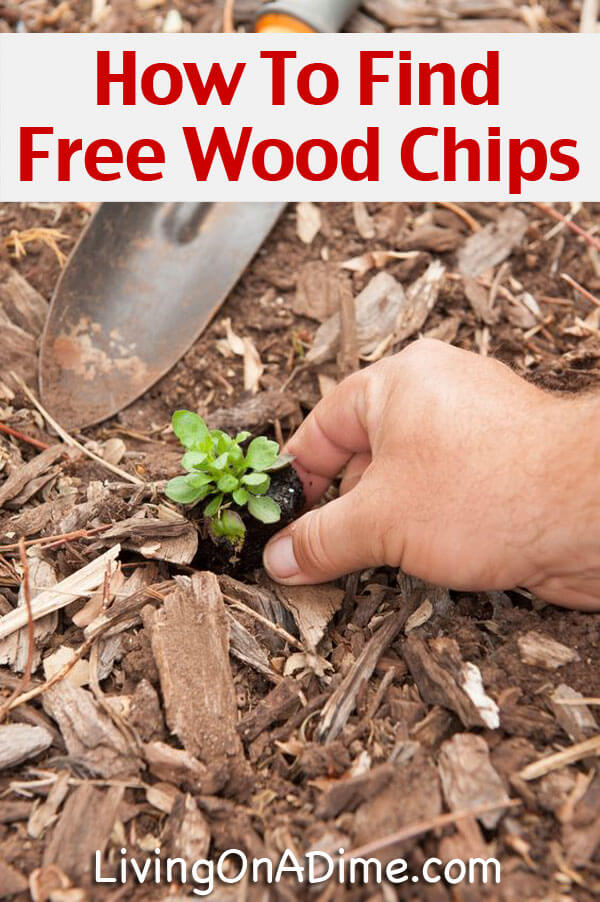 How To Find Free Wood Chips For Garden Mulch - It's easy to get free wood chips to use for garden mulch to keep down weeds. These tips for getting free mulch can save you time and money!